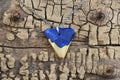 Maple Burl Wood Pendant Necklace: Cobalt Blue Resin, 20in Chain