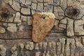Black Ash Burl Wood Pendant Necklace - 20 inch Chain