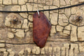 Handmade Lilac Burl Wood Pendant Necklace: Adjustable 18-20 inch